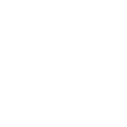 parrot-2.png
