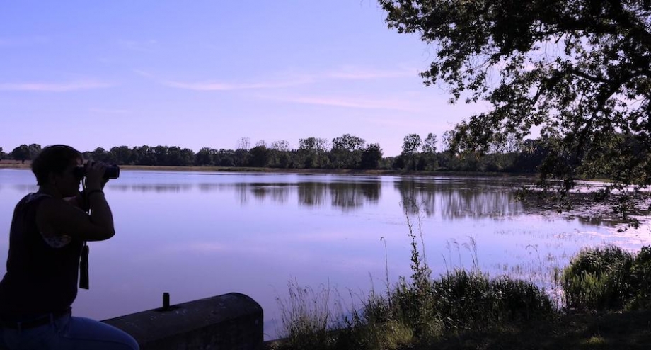 Dombes und seine Teiche Reisetipps Spanien Europa