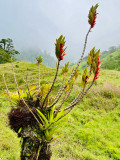 Die Naturreise
