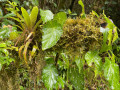Die Naturreise